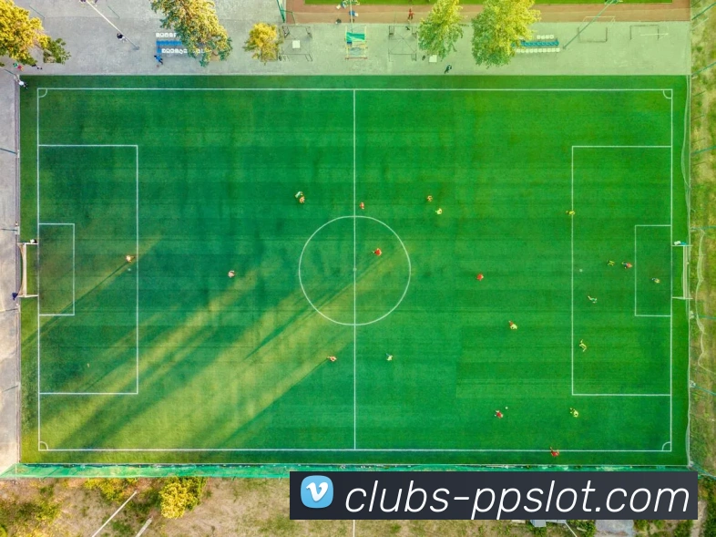 PP极速糖果1000官网APP 封面图