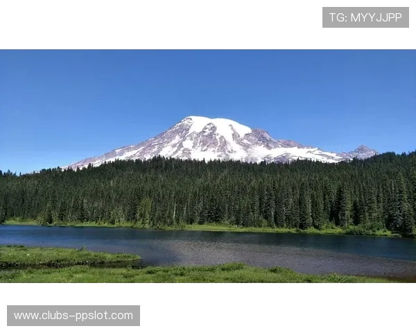 《火山哥哥自制游戏大冒险 拯救米塔的奇幻之旅》